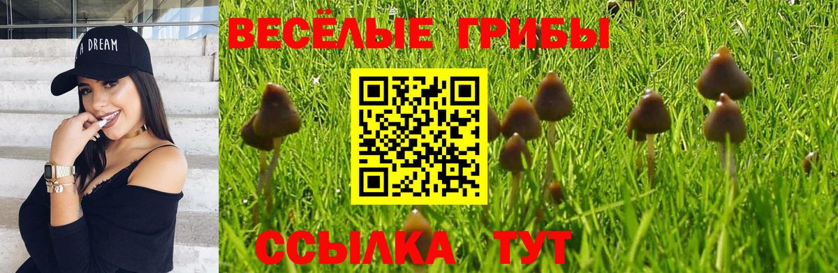 Галлюциногенные грибы MAGIC MUSHROOMS  Псилоцибиновые грибы прущие грибы  закладка  Вход с VPN  Камень-на-Оби 