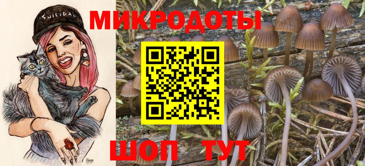 Псилоцибиновые грибы Cubensis Камень-на-Оби